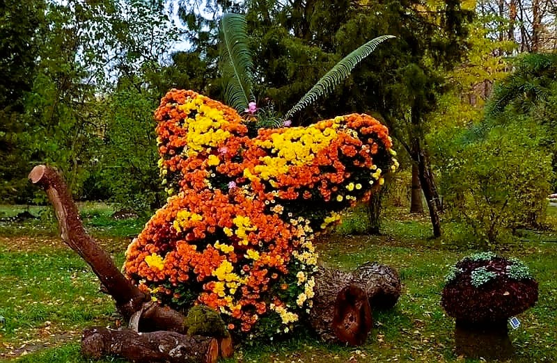 Grădina Botanică , Anastasie Fatu din Iași